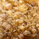 Copale Oro Del Madagascar (Hymenaea Copalier) (30GR)